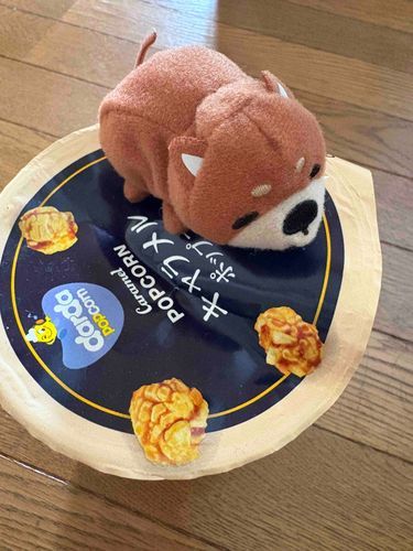 ねむい あさはつらい
のでポップコーンたべてから おでかけ
テンションあげて 今日もがんばろー