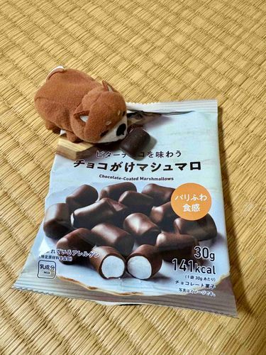 ファミマ さんけんまわってかった
ビターで パクパクいける おいしさ
でもあんがい ちいさいし すくない