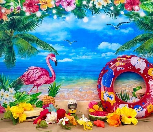 8月のぬい写真📸 🦁
テーマは海🏝🦩🌺
