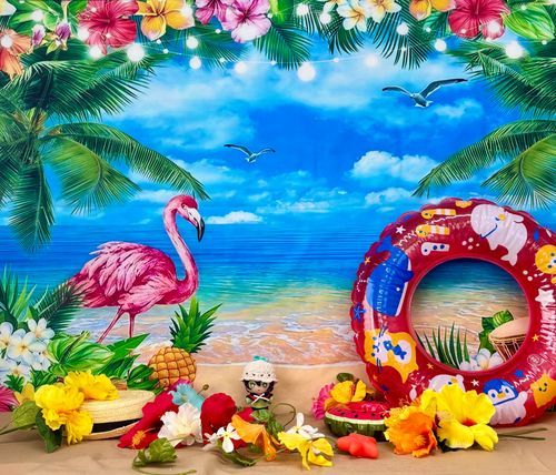 8月のぬい写真📸 🐲
テーマは海🏝🦩🌺
