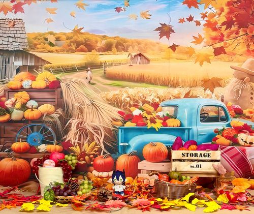 9月のぬい写真📸 🐲
テーマは秋🍁🍂🍠
