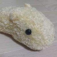 しろ