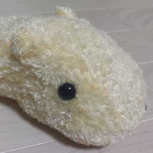 かぴぃ……
