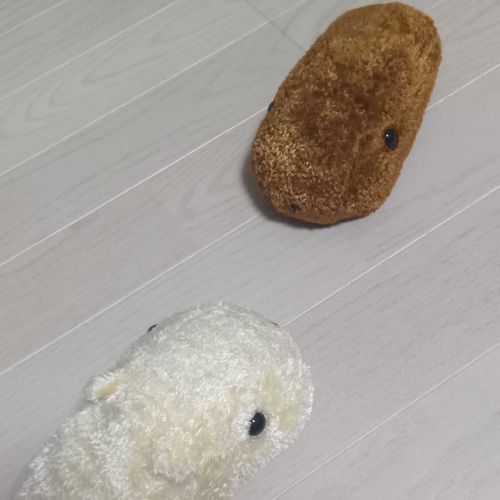 おともだちかぴぃ……
