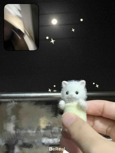 ぴんぼけライナスと十五夜🌝