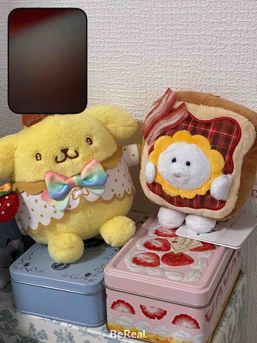 自宅で撮るBeRealはいつもかわい子ちゃんたちが写りこんでいる