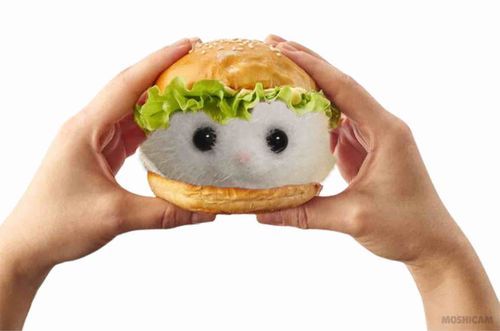 🍔🫶🏻