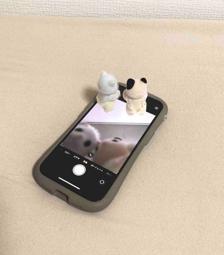 流行り？のやつ🤳🏻