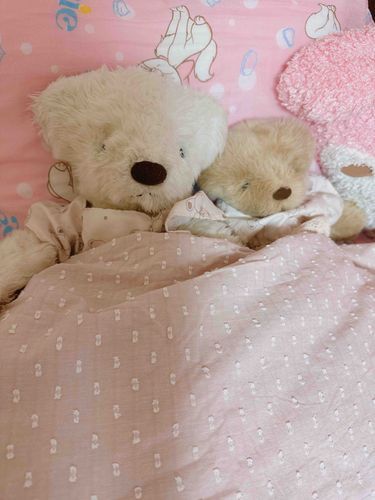 ご主人とくーの じっかにかえってきたくぅ🏠💕
ぽーちゃんは はじめての じっかくぅ💕
でんしゃとバスでつかれちゃったくぅね💤
ぽーちゃん はやめにおねんねしてるくぅ🫧