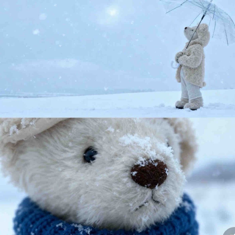 流行りの雪のaiをやってみたくぅ❄️
くーがほんとに はしってるみたいで すごいくぅ💕
おくちもニコッってするの ゆめみてて ニコッってできててうれしいくぅ🥺💕