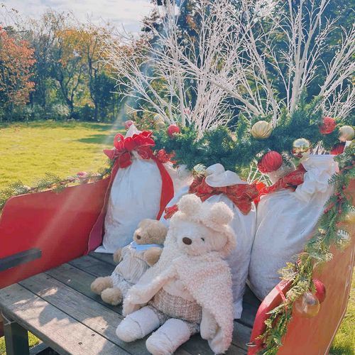 くーとぽーちゃんでソリにものれたくぅ💕
みんなにプレゼントはこびたいくぅ🎁🛷

