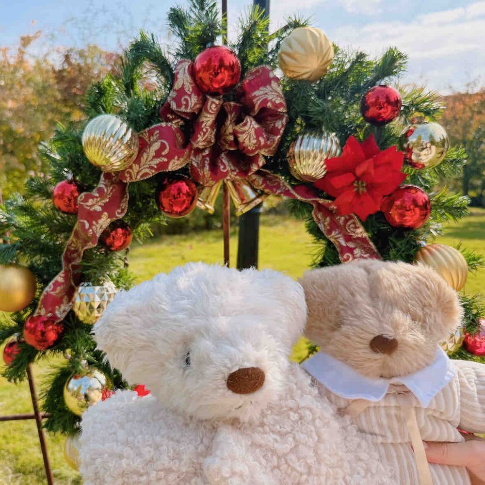 くーとぽーちゃんでソリにものれたくぅ💕
みんなにプレゼントはこびたいくぅ🎁🛷