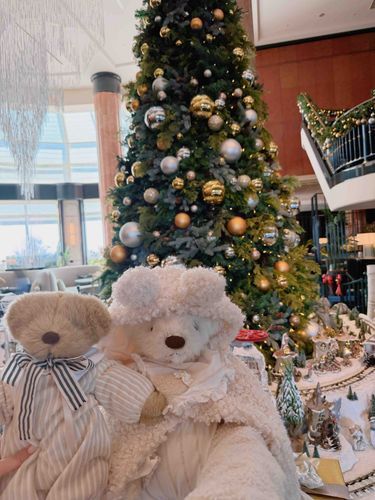 恵比寿のお散歩〜最終回くぅ🎄

ガーデンプレイスを歩いた後は、ずっと見に行きたかったウェスティンホテルのクリスマスくぅー🎄
よくみると電車やゴンドラが動いてて可愛いかったくぅー✨
クリスマスの雰囲気だいすきくぅー🎅
