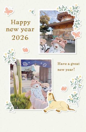 あけましておめでとうございますくぅ🎀
ふわもこのお友達のみんなと、
今年もやさしい時間を重ねられますようにくぅ☁️🤍
どうぞよろしくくぅ🐻‍❄️✨