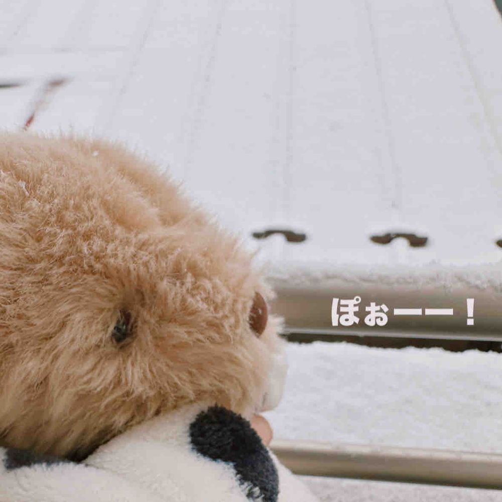 雪だるましゃん つくったぽぉ⛄️❄️
