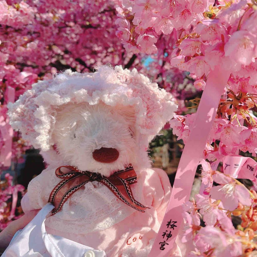 カワヅザクラみに行ったぽぉ🌸
なんと✨りすちゃんと同じ日にみにいってたぽぉ👀✨
いつかバッタリ会えそうぽぉ🌸わくわく✨

4枚目は去年のくーちゃんのお写真ぽぉ🥺
早く病院から帰ってきてぽぉぉぉ｡ﾟ(ﾟ´ω`ﾟ)ﾟ｡

みんなの投稿みてるぽぉ✨
なかなかコメントできなくてごめんねぽぉ🥺