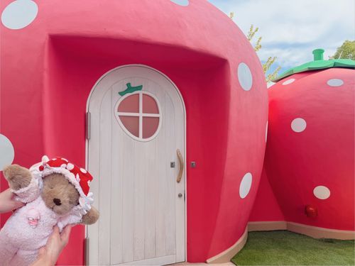 いちごのお家に遊びにいったぽぉ🍓
ぽーは合成で失礼ぽぉ🥺
いちごのお家の中も入れてとっても可愛いかったぽぉ💕