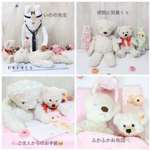 ぬいぐるみ病院さんでのお写真くぅ✨
治療まえのくーで先生にしっかりみてもらったくぅ🥺
入院するのに寂しくないようにって、お家からしっかりもののジョニーも一緒にきてくれたくぅ🐻‍❄️🐻‍❄️