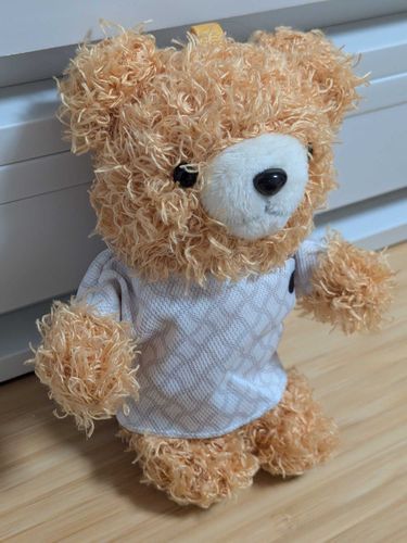 モフモフしたクマです🐻