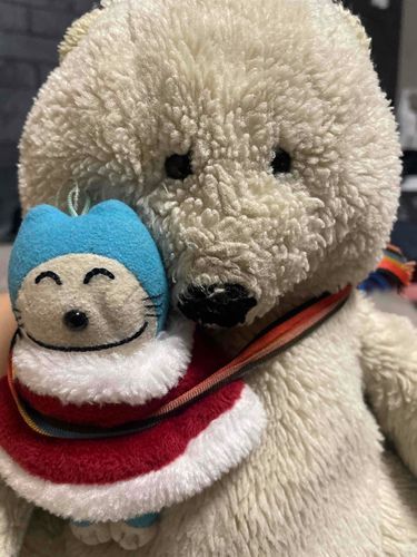 ともだちのあおさんです。