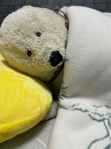 すやすやぁ。