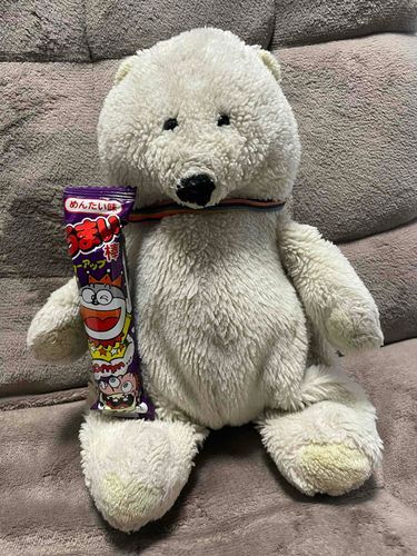うまいぼうさんかってもらった🐻‍❄️