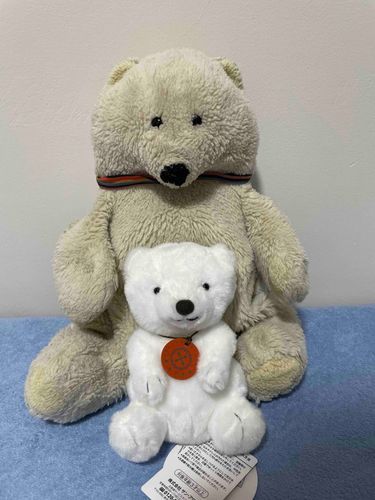 おともだちがふえたよ〜🐻‍❄️