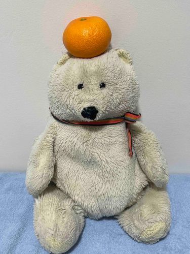 みんな久しぶり〜。

おみかん🍊