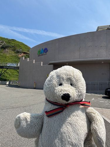 すいぞくかんにいったよ。しろくまのおやこがかわいかった🐻‍❄️