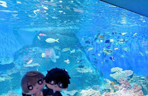 あけちと水族館ぬ🐠　さかないっぱいぬ🐠