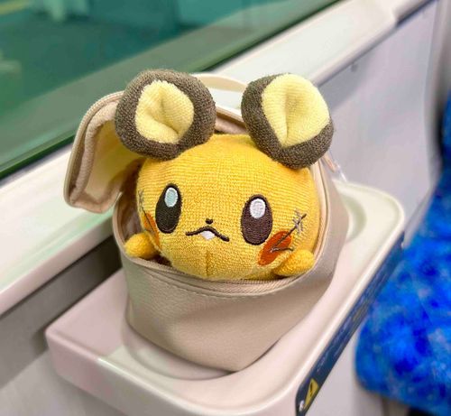 新たなお出かけポーチです。

ジャストフィットでした。

小窓もつけてあげたいです。