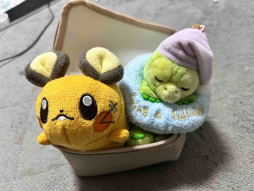 新しい仲間が増えました。

ちょっと窮屈かな🐹🐢