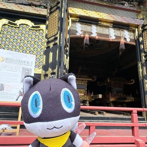 日光モナ。