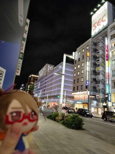 ぽかぽか。さんぽ、しやすい。ぎんざさんぽ。