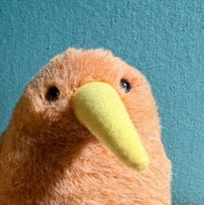 ぬい活が趣味です