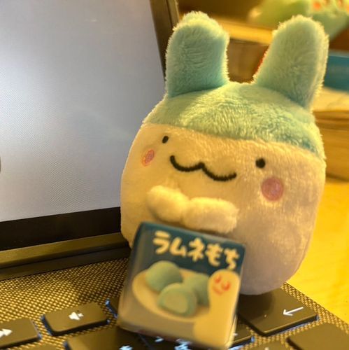 昔飼ってたやんぐみみっちの名前が
ぷりてぃー♡
お世話すっぽかして
天国に行ったたまごっちは数知れず
ほんとにごめんなさい