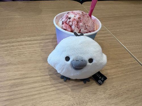 ゴシュジンサマ
アイスタベルノ
ダイスキ