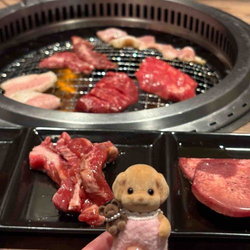みてー！やきにくー！家主さんやきにくだいすきなんだってー！
