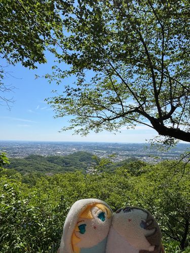 やまのうえできねんしゃしんをとった。