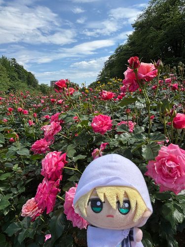 はるはいろがきれいだな。
