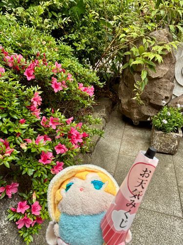 おみくじ！