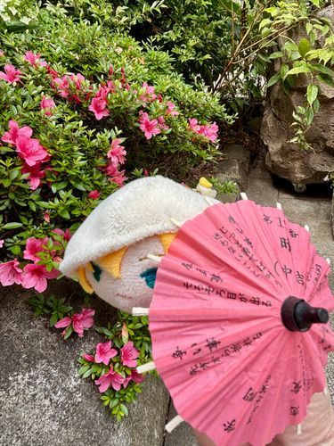 おみくじのけっかだ。うつしのおれには「中吉」くらいがちょうどいい。