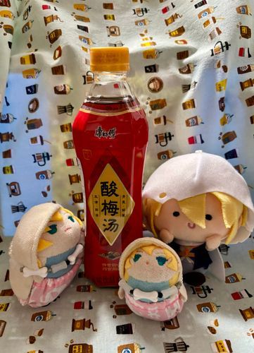 これはあるじのなつのおともだち、酸梅湯くんだ。あるじがなつばてしないようにしてくれる。よろしくたのむ。