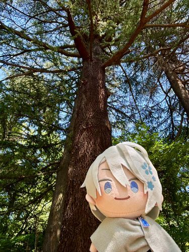 おやすみ！　きょぼく！