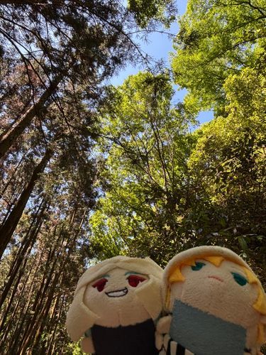 おやすみである！