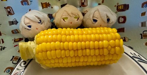 ｼｬｸｼｬｸｼｬｸｼｬｸ🌽