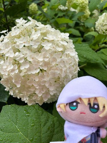 まんまるだな。
