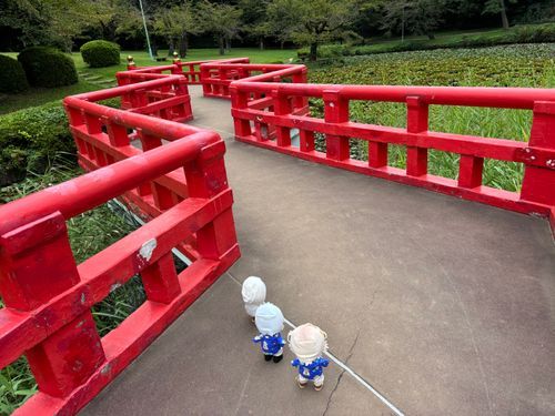 くねくねしたはしだねえ。
