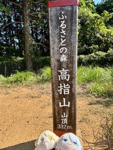 ふたつめのやまだよ。ここはむかしNTTのてっとうとちゅうけいじょがあったらしくてね、てっとうはなくなったけどたてものがそのままで、なんとしんれいすぽっとになってしまったよ。