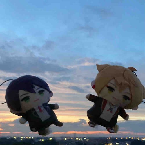 あんゆ家のぱぺぬいたちだよ〜